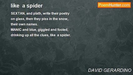 DAVID GERARDINO - like  a spider