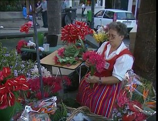 Histórias de Portugal - Madeira - 2-3 - As Moradias do Capitão - 07 Dez 1996