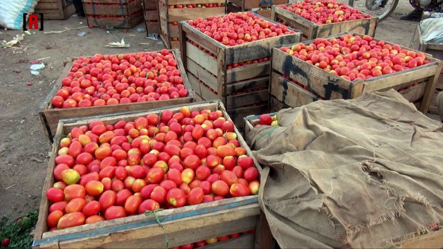 Perimetre de Di : Comment le Burkina Faso irrigue ses terres aux portes du désert