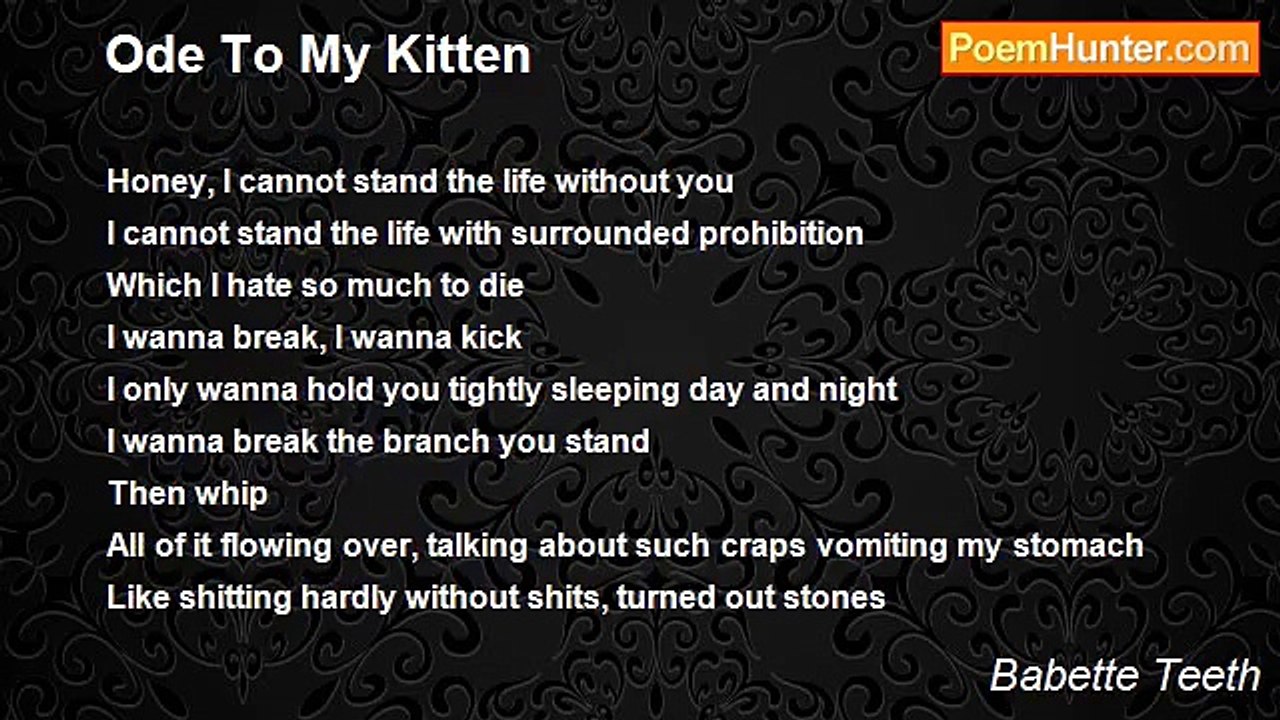 Babette Teeth - Ode To My Kitten