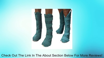 Intrepid International Shipping Boots Review