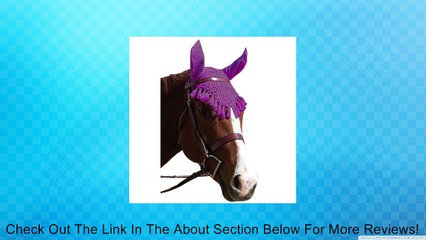 Intrepid International Fancy Ear Nets for Horses Review