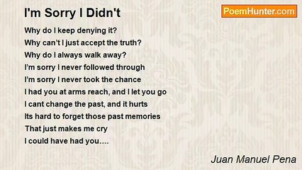 Juan Manuel Pena - I'm Sorry I Didn't