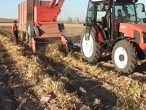 FASULYE HASAT MAKİNASI TOPLAR DÖVER