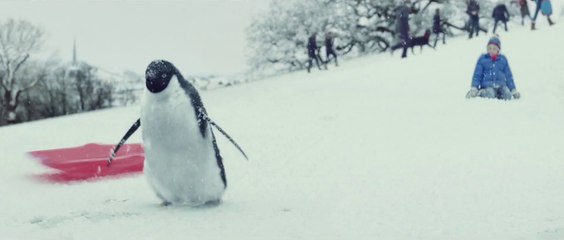 Pub de Noel avec un adorable bébé pingouin! John Lewis va vous faire craquer!