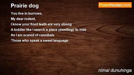 nimal dunuhinga - Prairie dog