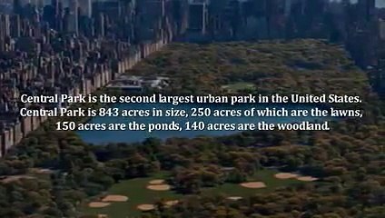 Central Park Tours in New York