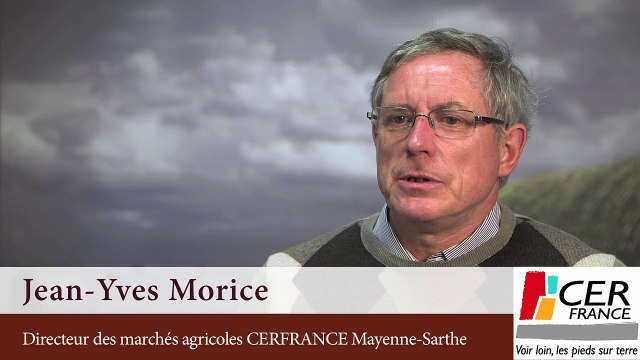 Une bonne année laitière ? par Jean-Yves Morice