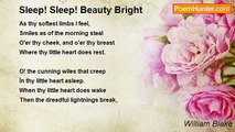 William Blake - Sleep! Sleep! Beauty Bright