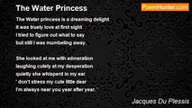 Jacques Du Plessis - The Water Princess