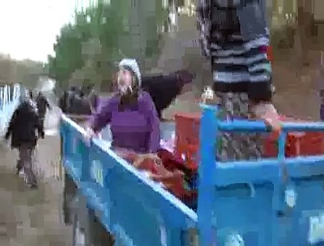 Yırca'da ağaç katliamı