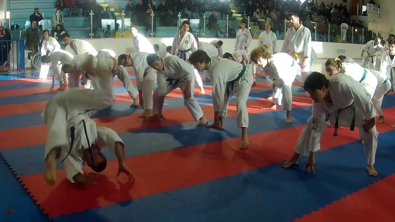 Wado Ryu Goshin Jutsu