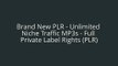 Brand New PLR - Unlimited Niche Traffic MP3s - Full Private Label Rights (PLR)