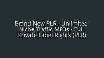 Brand New PLR - Unlimited Niche Traffic MP3s - Full Private Label Rights (PLR)