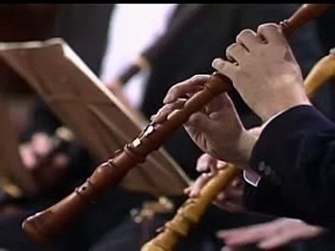 Johannes-Passion/VON DEN STRICKEN MEINER SÜNDEN Subt. es-ES (Johann Sebastian Bach)