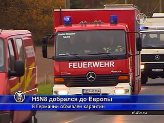 Птичий грипп штамма H5N8 уже в Европе