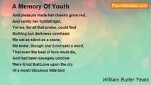 William Butler Yeats - A Memory Of Youth