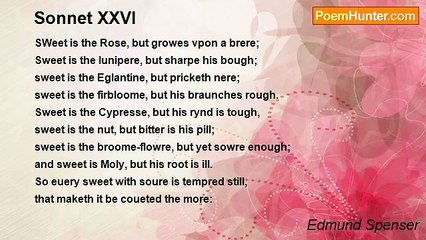 Edmund Spenser - Sonnet XXVI