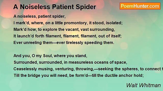 Walt Whitman - A Noiseless Patient Spider