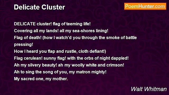 Walt Whitman - Delicate Cluster