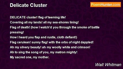 Walt Whitman - Delicate Cluster