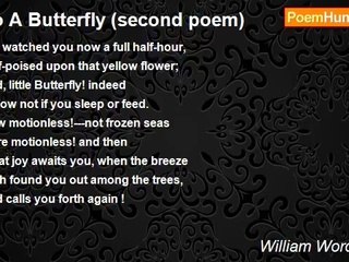 William Wordsworth - To A Butterfly (second poem)