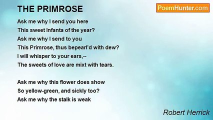 Robert Herrick - THE PRIMROSE