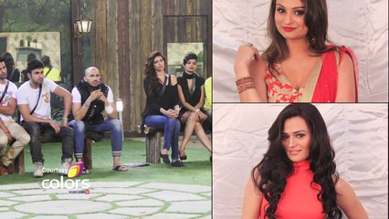 Bigg Boss 8 Wildcard Entry Special Episode