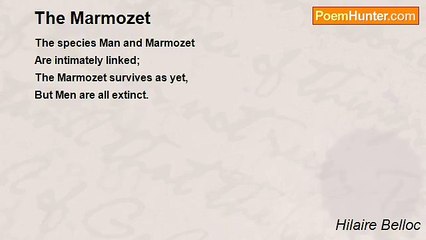 Hilaire Belloc - The Marmozet