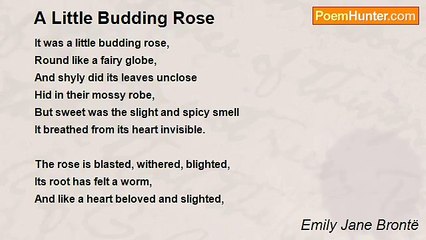 Emily Jane Brontë - A Little Budding Rose