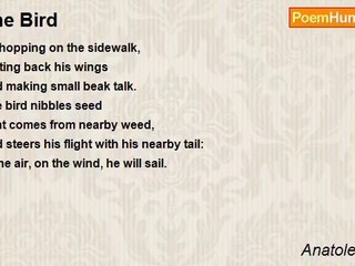 Anatole Kantor - The Bird