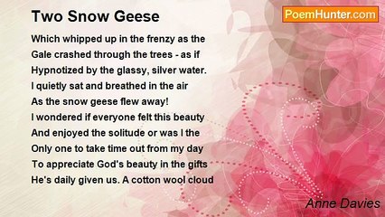 Anne Davies - Two Snow Geese