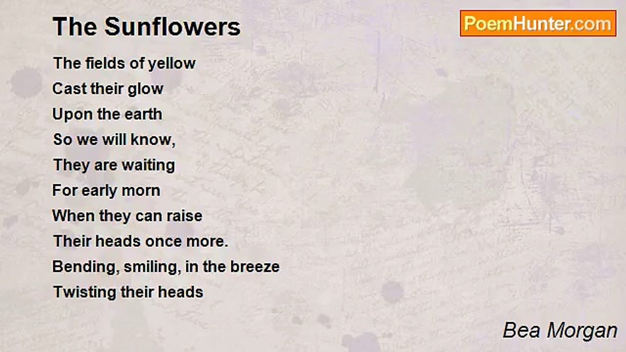 Bea Morgan - The Sunflowers