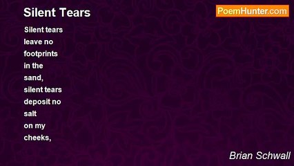 Brian Schwall - Silent Tears