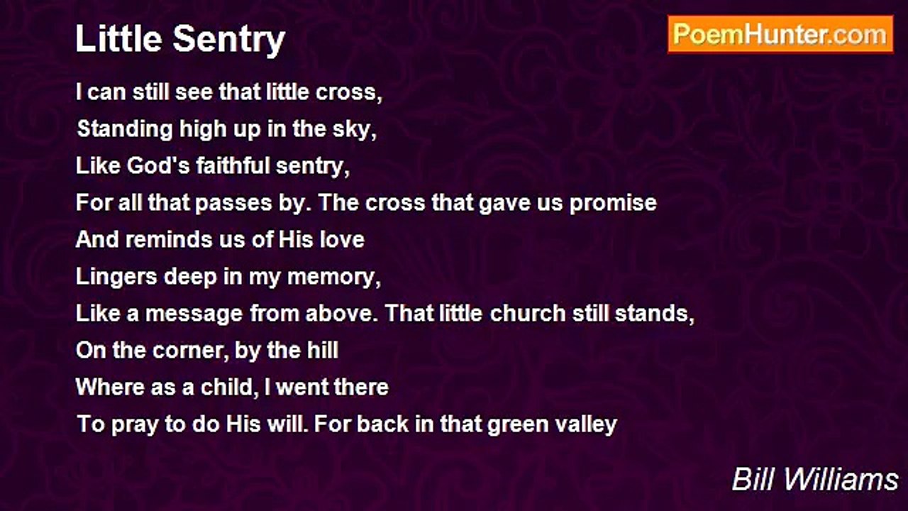 Bill Williams - Little Sentry