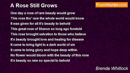 Brenda Whitlock - A Rose Still Grows