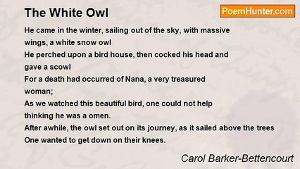Carol Barker-Bettencourt - The White Owl