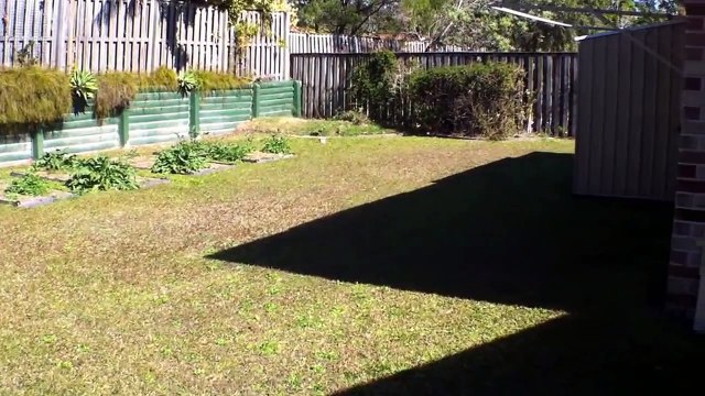 Houses for Rent in Noosaville 4BR-2BA by Noosaville Property Management