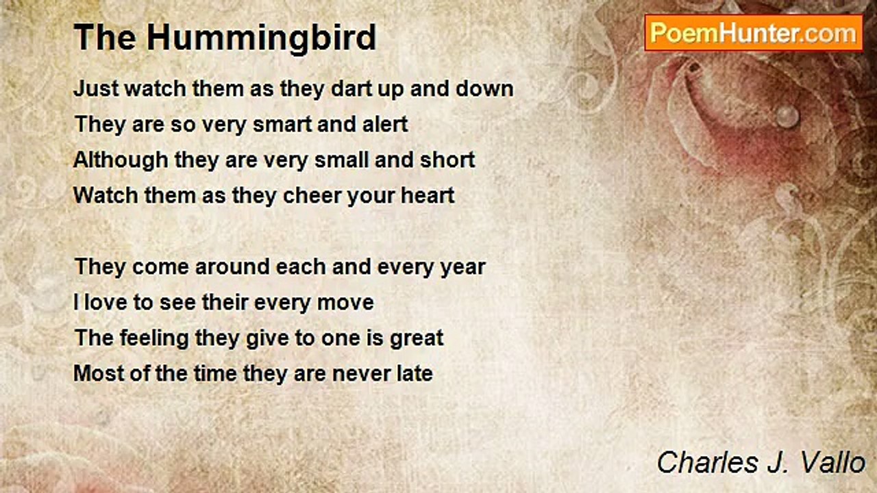 Charles J. Vallo - The Hummingbird