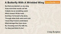 Craig Burgess - A Butterfly With A Wrinkled Wing