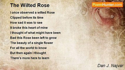 Dan J. Najvar - The Wilted Rose
