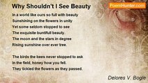 Delores V. Bogle - Why Shouldn't I See Beauty