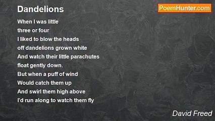 David Freed - Dandelions