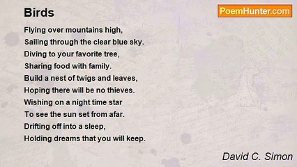 David C. Simon - Birds