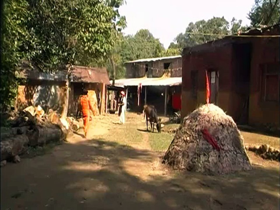 Gau News