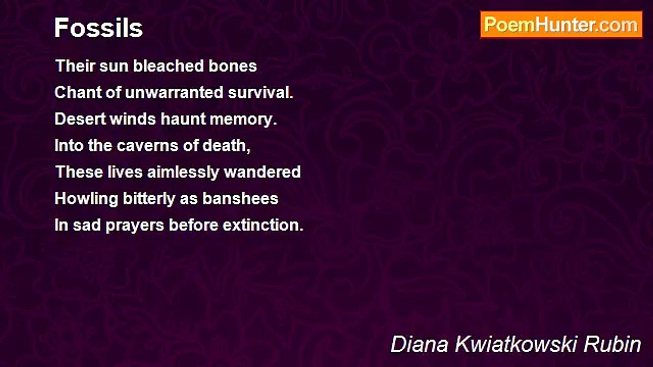 Diana Kwiatkowski Rubin - Fossils