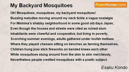 Esaku Kondo - My Backyard Mosquitoes