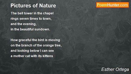 Esther Ortega - Pictures of Nature