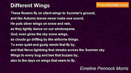 Emeline Pennock Morris - Different Wings