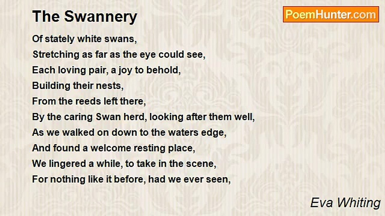 Eva Whiting - The Swannery